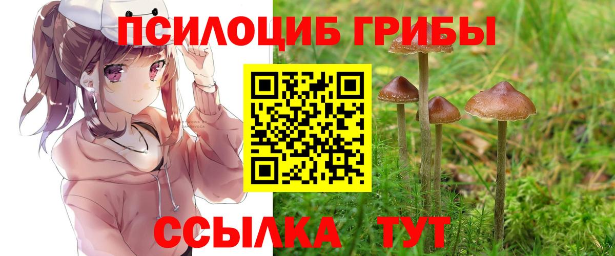 Псилоцибиновые грибы мухоморы  Вход с VPN  Первоуральск 